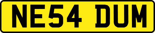 NE54DUM