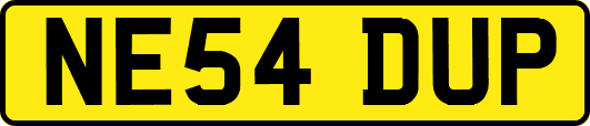 NE54DUP