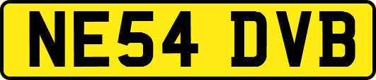 NE54DVB