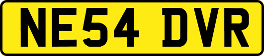 NE54DVR