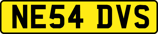NE54DVS