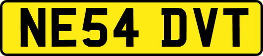 NE54DVT