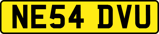 NE54DVU