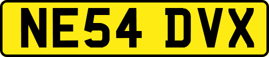 NE54DVX