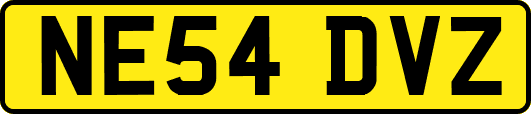 NE54DVZ