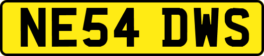 NE54DWS