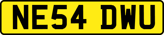 NE54DWU