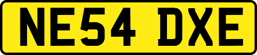 NE54DXE