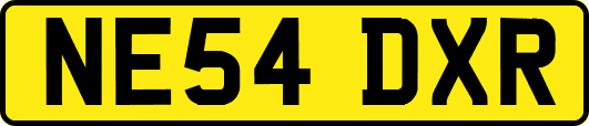 NE54DXR