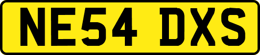 NE54DXS