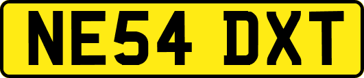 NE54DXT