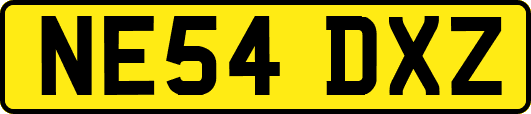NE54DXZ