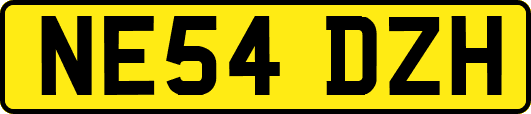 NE54DZH