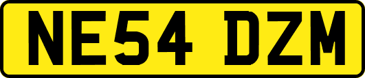 NE54DZM