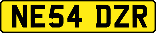 NE54DZR