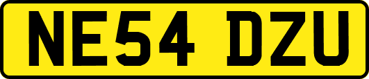 NE54DZU