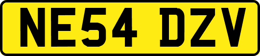 NE54DZV