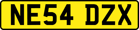 NE54DZX