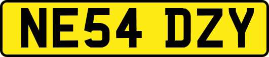 NE54DZY