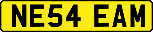NE54EAM