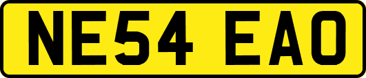 NE54EAO