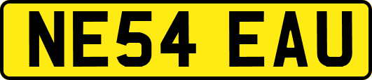 NE54EAU