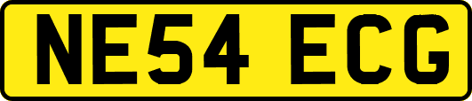 NE54ECG