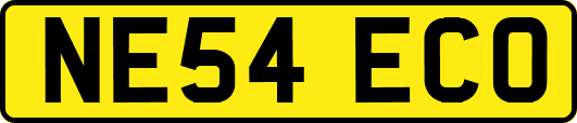 NE54ECO