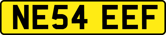 NE54EEF