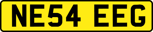 NE54EEG