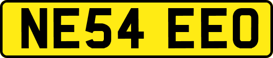 NE54EEO