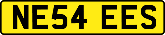 NE54EES