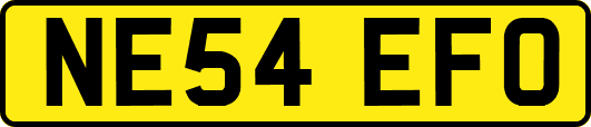NE54EFO