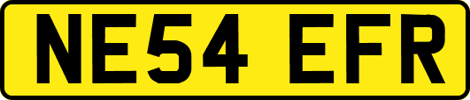 NE54EFR