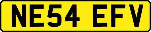 NE54EFV