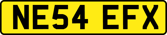 NE54EFX