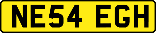 NE54EGH