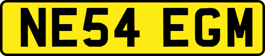 NE54EGM