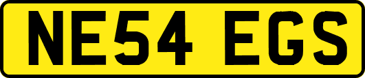 NE54EGS