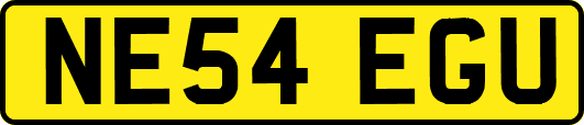 NE54EGU