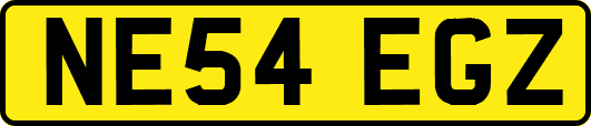 NE54EGZ