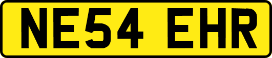 NE54EHR