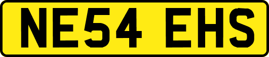 NE54EHS
