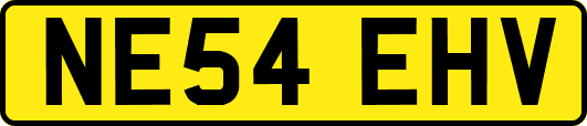 NE54EHV