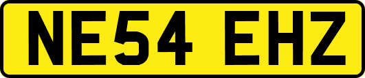 NE54EHZ