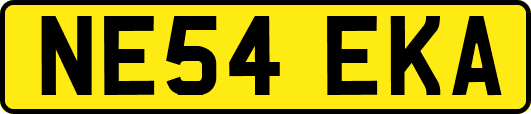 NE54EKA