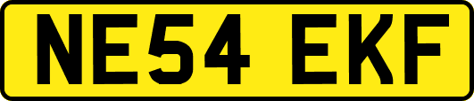 NE54EKF