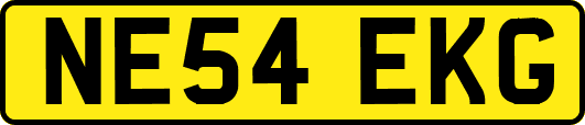 NE54EKG