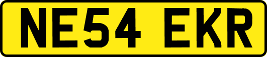 NE54EKR