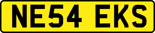 NE54EKS